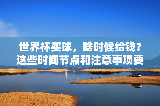世界杯买球，啥时候给钱？这些时间节点和注意事项要清楚，世界杯买球，支付时间节点与注意事项