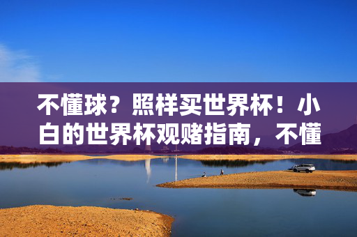 不懂球？照样买世界杯！小白的世界杯观赌指南，不懂球照样买世界杯！小白观赌指南
