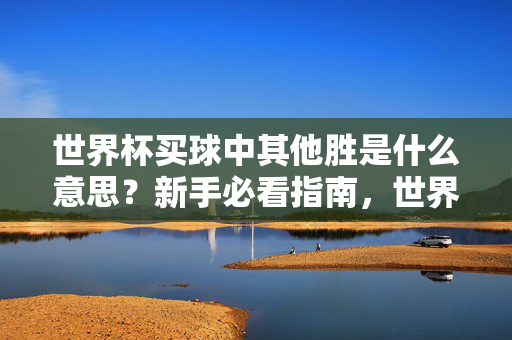 世界杯买球中其他胜是什么意思？新手必看指南，世界杯买球其他胜是什么意思？新手必看