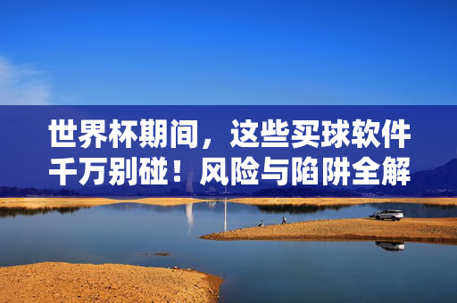 世界杯期间，这些买球软件千万别碰！风险与陷阱全解析，世界杯买球软件风险陷阱解析，这些千万别碰！