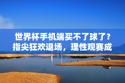 世界杯手机端买不了球了？指尖狂欢退场，理性观赛成主流，世界杯手机端买球受限，理性观赛取代指尖狂欢