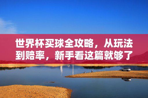 世界杯买球全攻略，从玩法到赔率，新手看这篇就够了，世界杯买球新手全攻略，玩法到赔率一篇搞定
