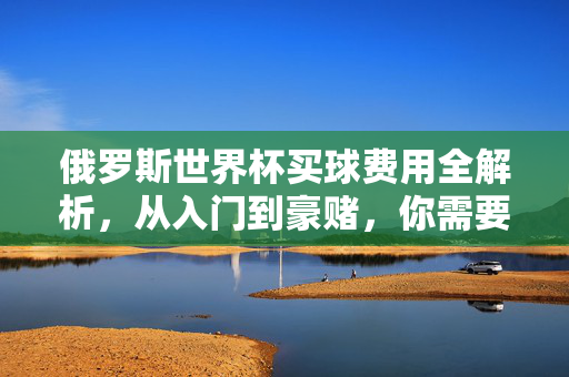 俄罗斯世界杯买球费用全解析,从入门到豪赌,你需要花多少钱?俄罗斯世界杯买球费用全解析,从入门到豪赌需花多少?