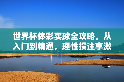 世界杯体彩买球全攻略，从入门到精通，理性投注享激情，世界杯体彩买球全攻略，入门到精通，理性投注享激情