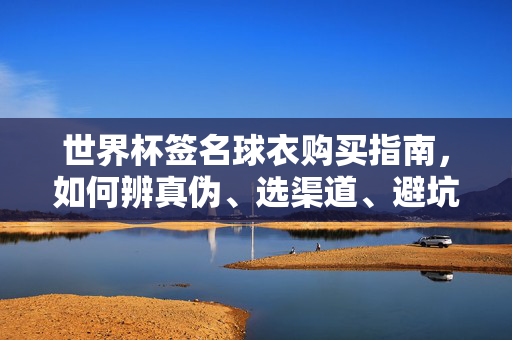 世界杯签名球衣购买指南，如何辨真伪、选渠道、避坑？世界杯签名球衣购买指南，辨真伪、选渠道、避坑全攻略