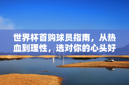 世界杯首购球员指南，从热血到理性，选对你的心头好，世界杯首购球员指南，从热血到理性，选心头好