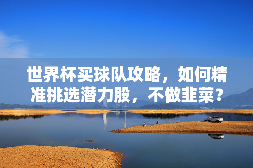 世界杯买球队攻略，如何精准挑选潜力股，不做韭菜？世界杯买球队攻略，精准挑选潜力股，不做韭菜