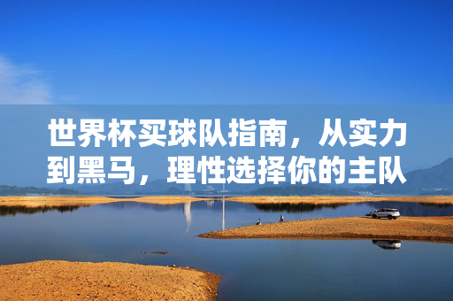 世界杯买球队指南，从实力到黑马，理性选择你的主队，世界杯球队选择指南，实力黑马间，理性选主队