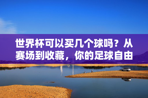 世界杯可以买几个球吗？从赛场到收藏，你的足球自由指南，世界杯可以买几个足球？从赛场到收藏的自由指南