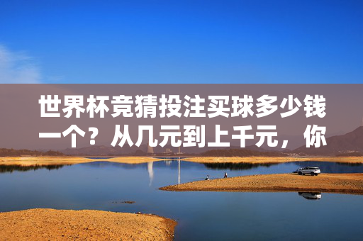 世界杯竞猜投注买球多少钱一个？从几元到上千元，你该投多少才合适？世界杯竞猜投注，几元到上千元，该投多少才合适？