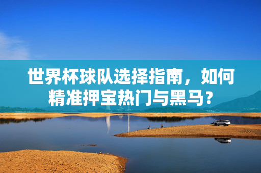 世界杯球队选择指南，如何精准押宝热门与黑马？