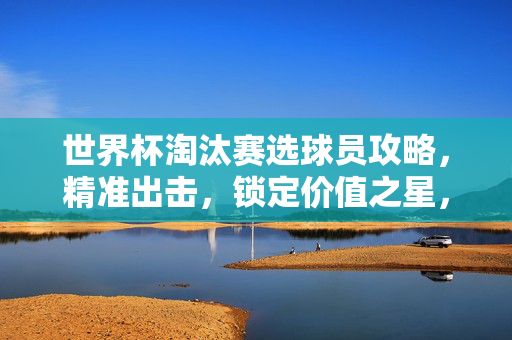 世界杯淘汰赛选球员攻略，精准出击，锁定价值之星，世界杯淘汰赛选球员攻略，精准出击锁定价值之星