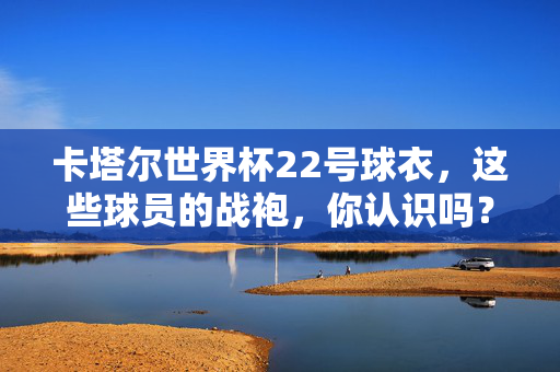 卡塔尔世界杯22号球衣，这些球员的战袍，你认识吗？卡塔尔世界杯22号球衣，这些球员的战袍你认识吗？