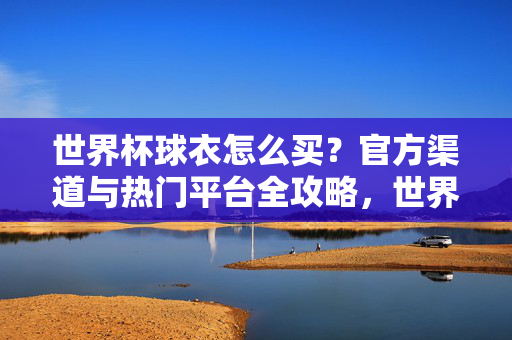 世界杯球衣怎么买?官方渠道与热门平台全攻略,世界杯球衣购买攻略,官方渠道与热门平台全指南