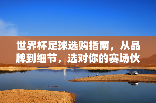 世界杯足球选购指南，从品牌到细节，选对你的赛场伙伴，世界杯足球选购指南，从品牌细节到赛场伙伴