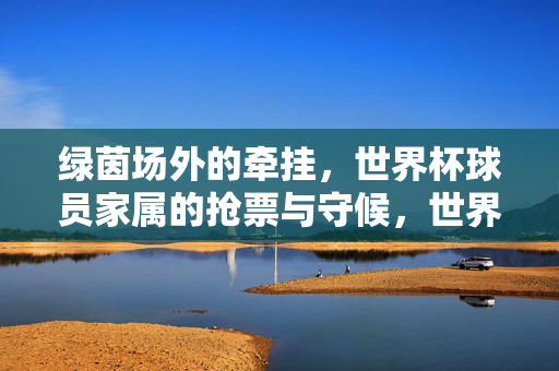 绿茵场外的牵挂，世界杯球员家属的抢票与守候，世界杯球员家属，绿茵场外的牵挂与守候