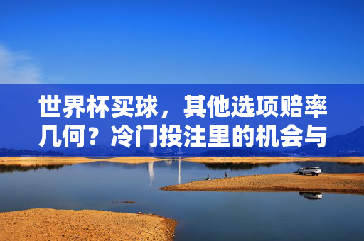 世界杯买球，其他选项赔率几何？冷门投注里的机会与风险，世界杯买球，冷门投注的赔率、机会与风险