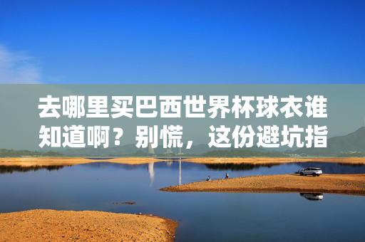 去哪里买巴西世界杯球衣谁知道啊？别慌，这份避坑指南帮你精准拿捏！巴西世界杯球衣避坑指南，精准购买不踩雷！