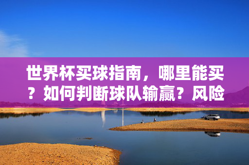 世界杯买球指南，哪里能买？如何判断球队输赢？风险提示不可少，世界杯买球指南，购买渠道、胜负判断与风险提示