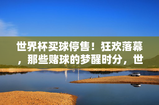 世界杯买球停售！狂欢落幕，那些赌球的梦醒时分，世界杯买球停售，狂欢落幕，赌球梦醒
