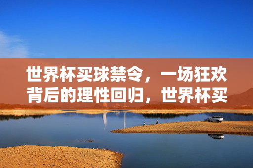 世界杯买球禁令，一场狂欢背后的理性回归，世界杯买球禁令，狂欢背后的理性回归
