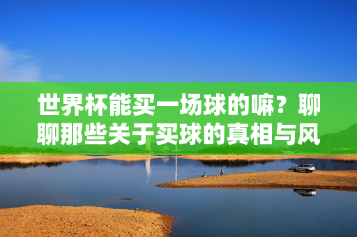 世界杯能买一场球的嘛?聊聊那些关于买球的真相与风险,世界杯买球的真相与风险