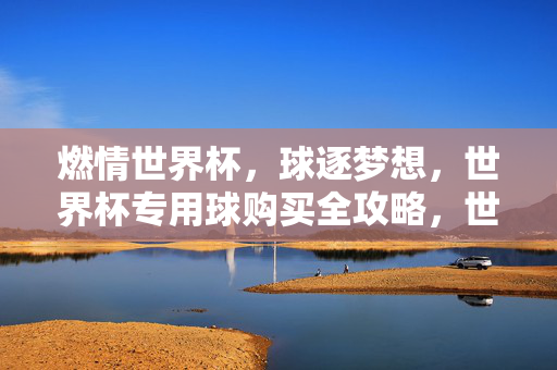 燃情世界杯,球逐梦想,世界杯专用球购买全攻略,世界杯逐梦之球购买全攻略