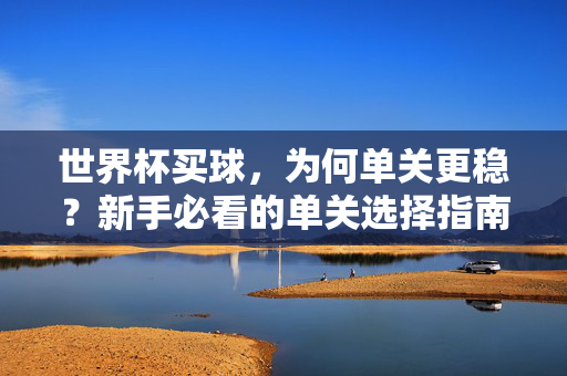 世界杯买球，为何单关更稳？新手必看的单关选择指南，世界杯买球新手必看，单关更稳选择指南