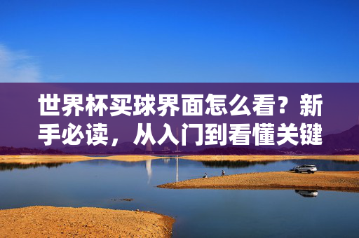 世界杯买球界面怎么看?新手必读,从入门到看懂关键信息