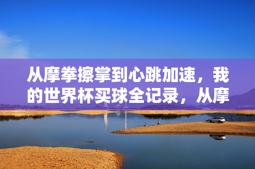 从摩拳擦掌到心跳加速，我的世界杯买球全记录，从摩拳擦掌到心跳加速，我的世界杯买球全记录