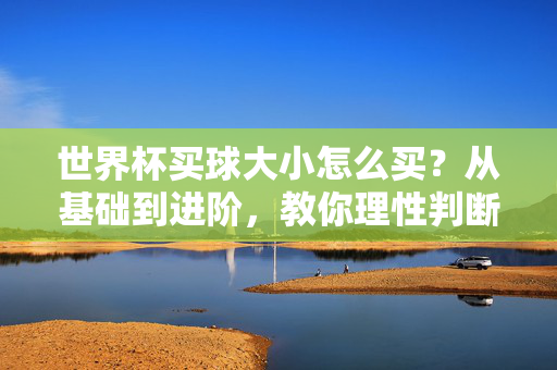 世界杯买球大小怎么买？从基础到进阶，教你理性判断胜负球，世界杯大小球从基础到进阶，理性判断胜负球指南