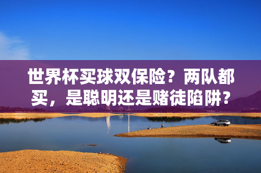 世界杯买球双保险？两队都买，是聪明还是赌徒陷阱？世界杯买球两队都买，双保险还是赌徒陷阱？