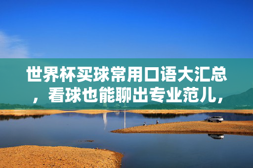 世界杯买球常用口语大汇总，看球也能聊出专业范儿，世界杯买球口语大汇总，看球聊出专业范儿