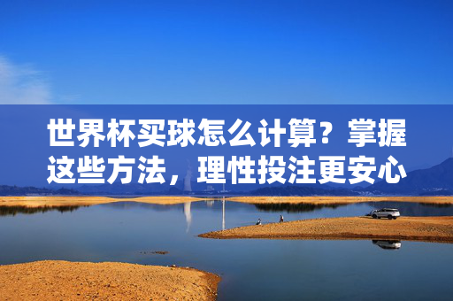 世界杯买球怎么计算？掌握这些方法，理性投注更安心，世界杯买球计算方法，理性投注更安心