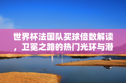 世界杯法国队买球倍数解读，卫冕之路的热门光环与潜在暗礁，法国队世界杯卫冕热门，买球倍数解读与潜在暗礁