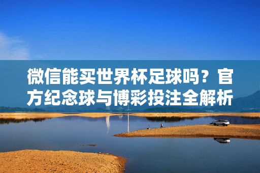 微信能买世界杯足球吗？官方纪念球与博彩投注全解析，微信买世界杯足球，官方纪念球与博彩投注全解析