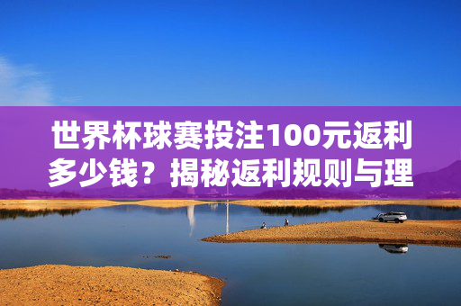 世界杯球赛投注100元返利多少钱？揭秘返利规则与理性投注指南，世界杯投注100元返利揭秘，规则与理性指南