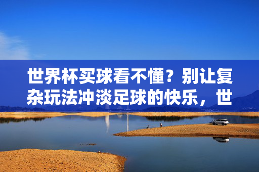 世界杯买球看不懂？别让复杂玩法冲淡足球的快乐，世界杯买球，别让复杂冲淡快乐