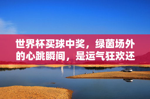 世界杯买球中奖，绿茵场外的心跳瞬间，是运气狂欢还是理性提醒？世界杯买球中奖，心跳狂欢后的理性叩问