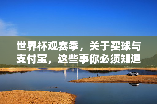 世界杯观赛季，关于买球与支付宝，这些事你必须知道，世界杯观赛季，买球与支付宝，这些事你必须知道