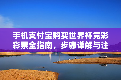 手机支付宝购买世界杯竞彩彩票全指南，步骤详解与注意事项