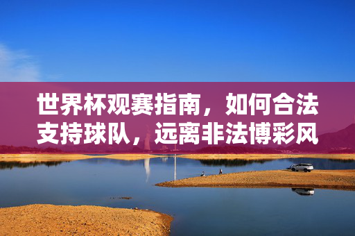 世界杯观赛指南，如何合法支持球队，远离非法博彩风险，世界杯观赛指南，合法支持球队，远离非法博彩风险