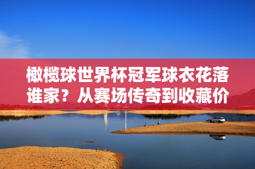 橄榄球世界杯冠军球衣花落谁家？从赛场传奇到收藏价值，橄榄球世界杯冠军球衣，赛场传奇与收藏价值的归属