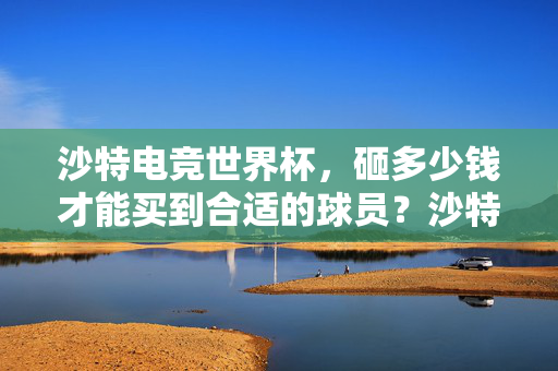 沙特电竞世界杯，砸多少钱才能买到合适的球员？沙特电竞世界杯，天价球员，砸多少钱才合适？