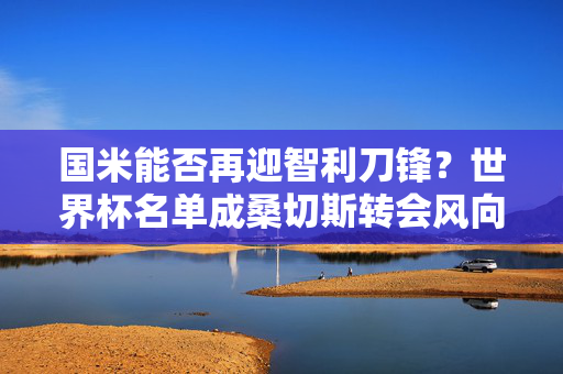 国米能否再迎智利刀锋？世界杯名单成桑切斯转会风向标，桑切斯世界杯名单定转会风向标 国米再迎智利刀锋？