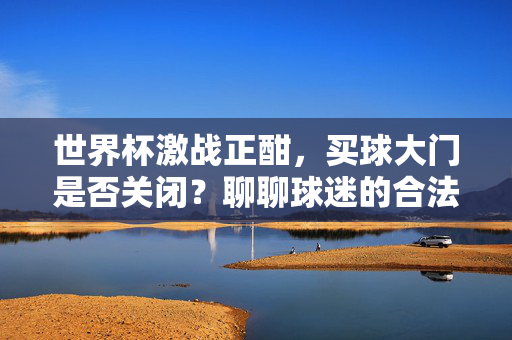 世界杯激战正酣，买球大门是否关闭？聊聊球迷的合法与风险之路，世界杯激战正酣，球迷买球的合法边界与风险