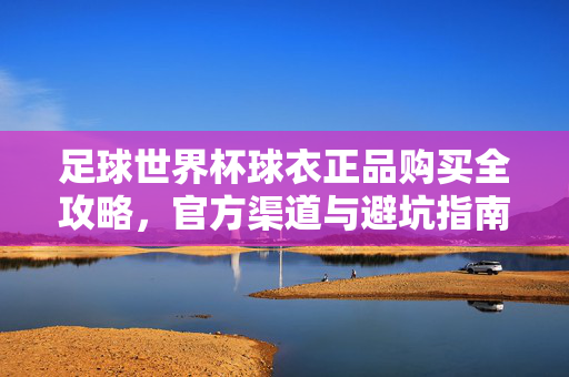 足球世界杯球衣正品购买全攻略，官方渠道与避坑指南，世界杯球衣正品购买全攻略，官方渠道与避坑指南