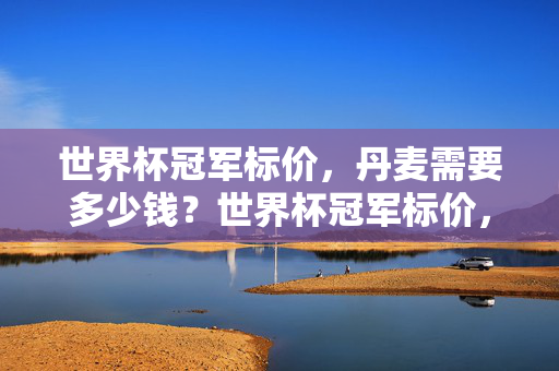 世界杯冠军标价，丹麦需要多少钱？世界杯冠军标价，丹麦需要多少钱？