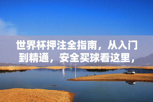 世界杯押注全指南，从入门到精通，安全买球看这里，世界杯押注全指南，从入门到精通，安全买球看这里