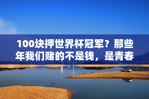 100块押世界杯冠军?那些年我们赌的不是钱,是青春里的足球梦,那些年赌的不是钱,是青春里的足球梦